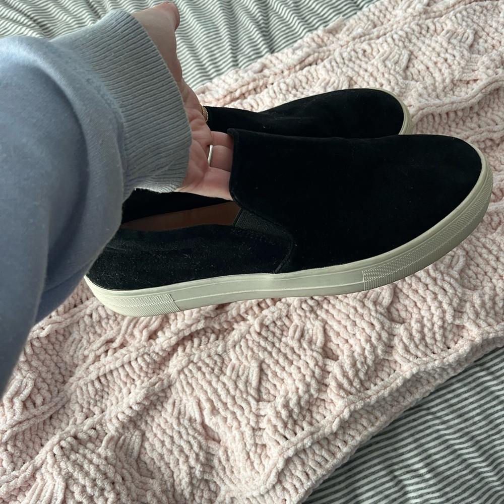 Steve madden gills sneaker
